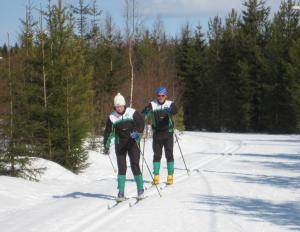 Как подготовить лыжи к катанию или соревнованиям